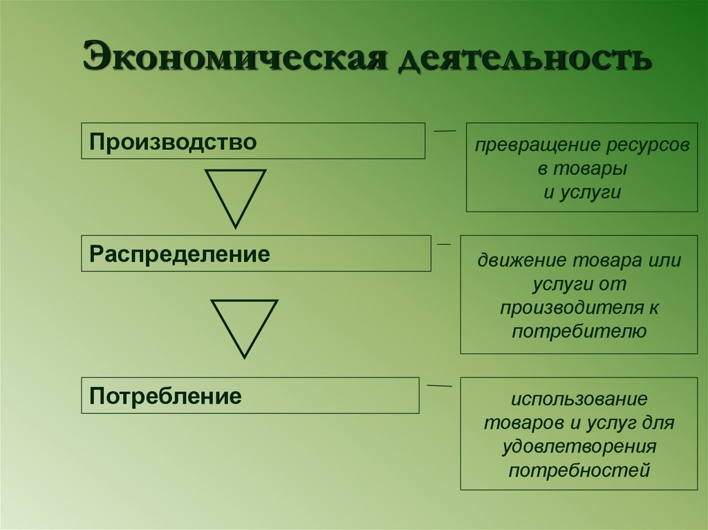 Вид деятельности производство. Виды экономическойдетельности. Фиды экономической жеткльности. Экономическая деятельность. Виды экономисческрймдеятельности..