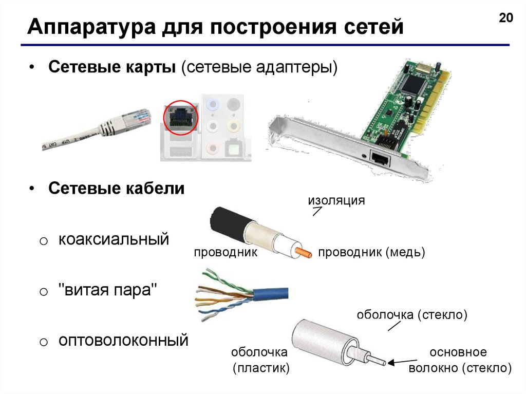 К какому типу оборудования относится сетевая карта