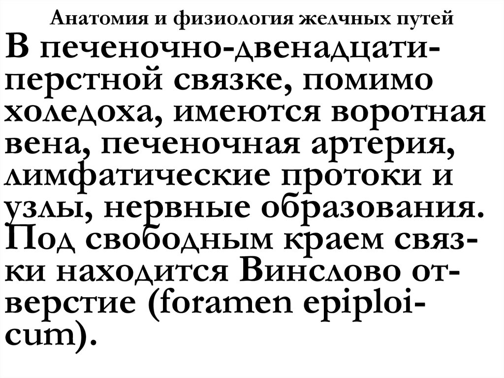Анатомия и физиология желчных путей