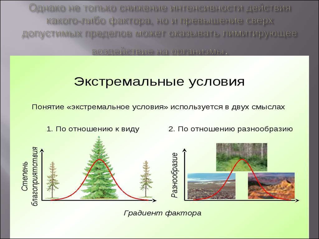 Интенсивность действия факторов среды