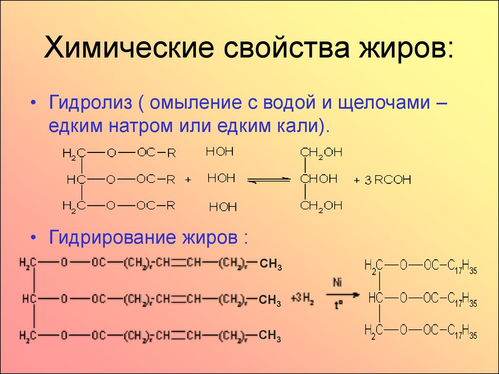 Презентация по химии на тему жиры 9 класс