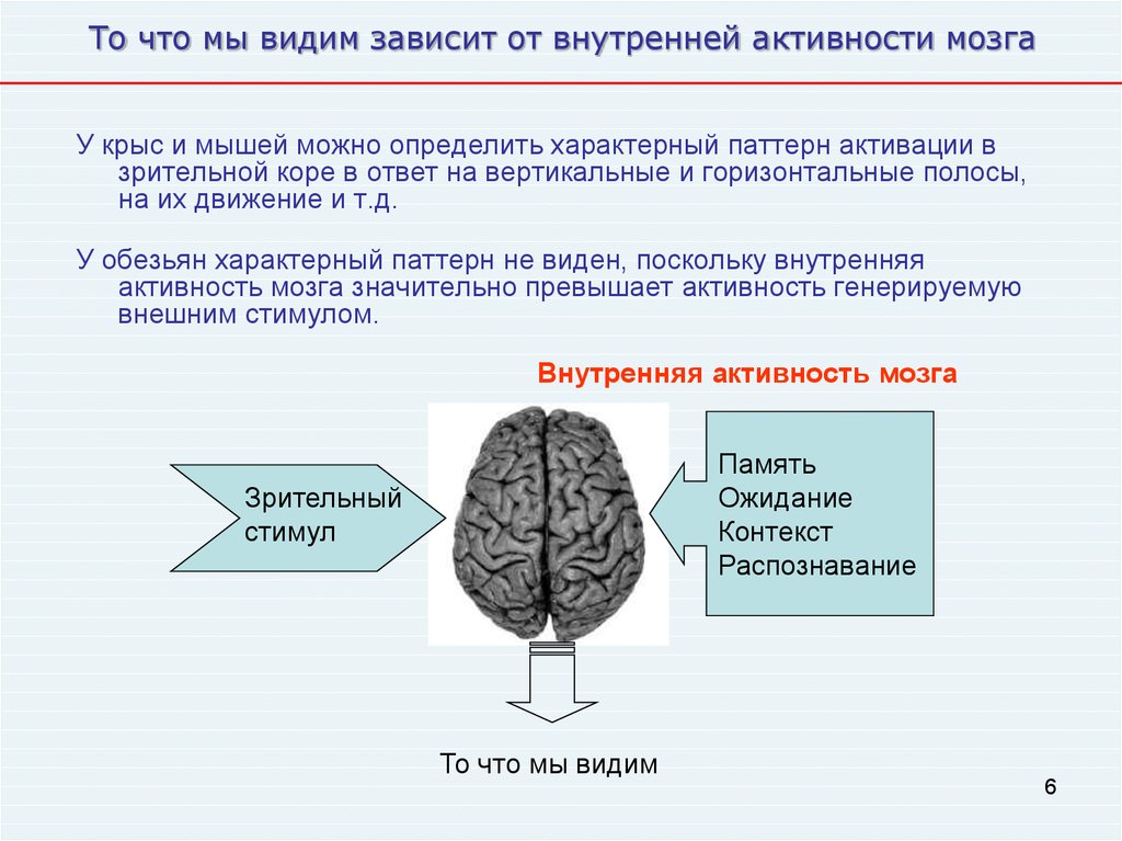 Паттерны активности мозга. От чего зависит ум. От чего зависит ум человека. Нейронауки презентация.