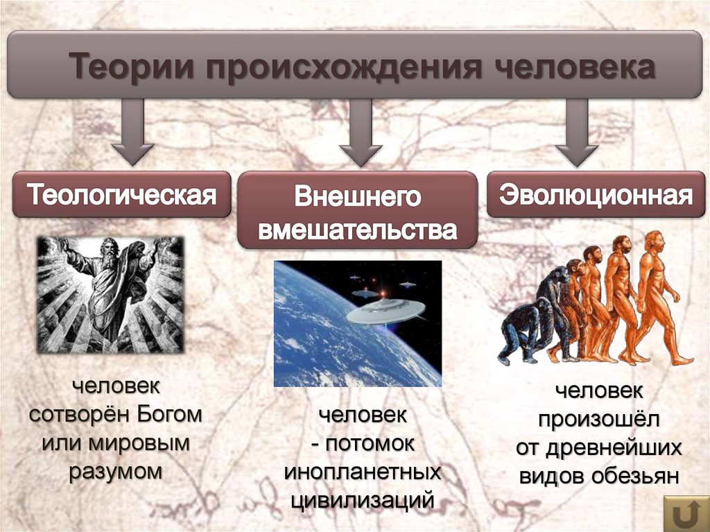 Таблица людей на земле. Теории происхождения человека. 3 Основные теории происхождения человека. Основная теория происхождения человека. 2 Гипотезы происхождения человека.
