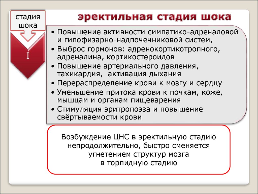 Повышение 1. Эректильная стадия шока характеризуется. Для эректильной фазы шока характерно. Эректильная фаза анафилактического шока. Стадии шока эректильная и торпидная.