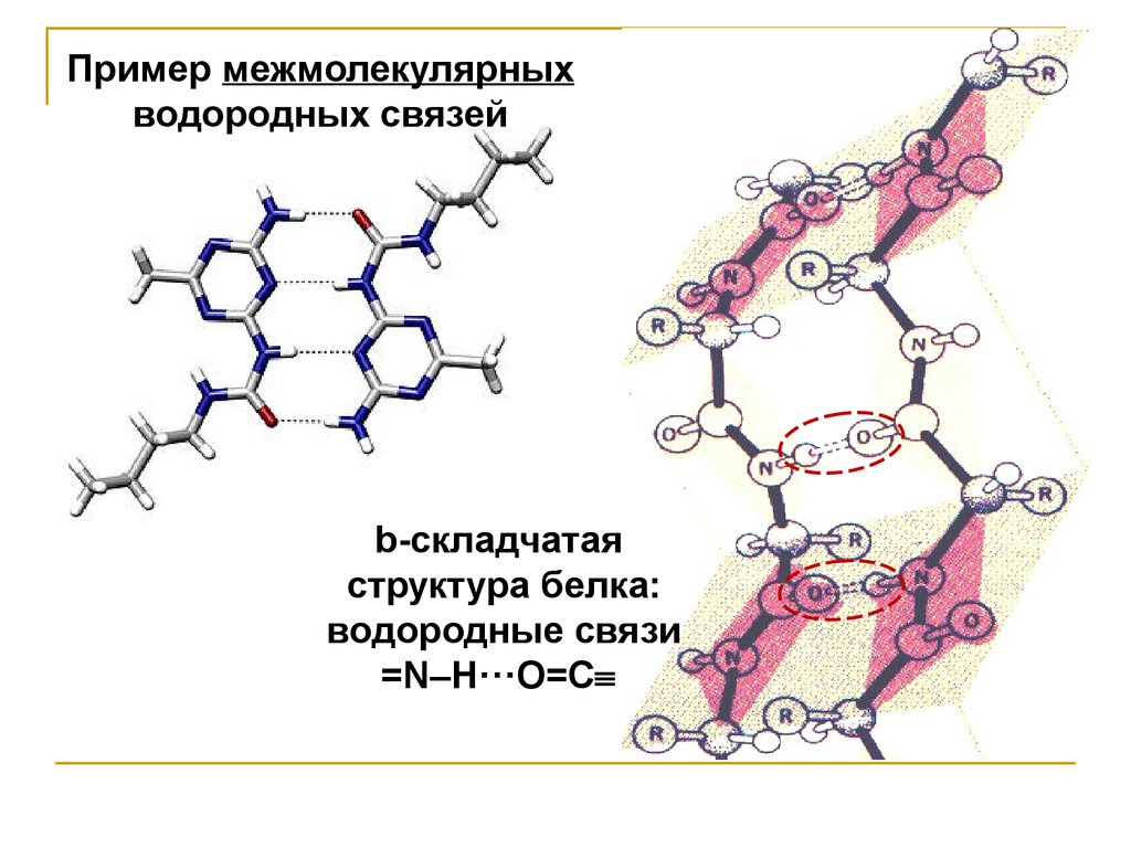 Белки водородные связи. Теоретическая структура белка. Теория строения белков. Белки теория. Теория по белкам.