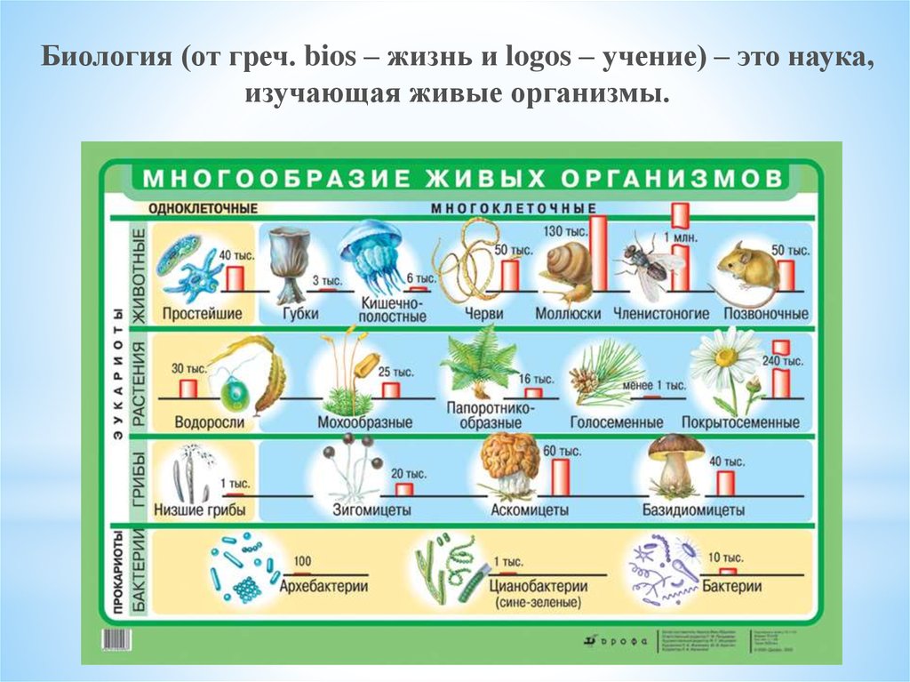 Количество и разнообразие живых организмов на земле