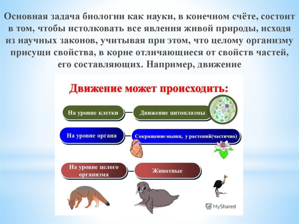 Биологический закон жизни