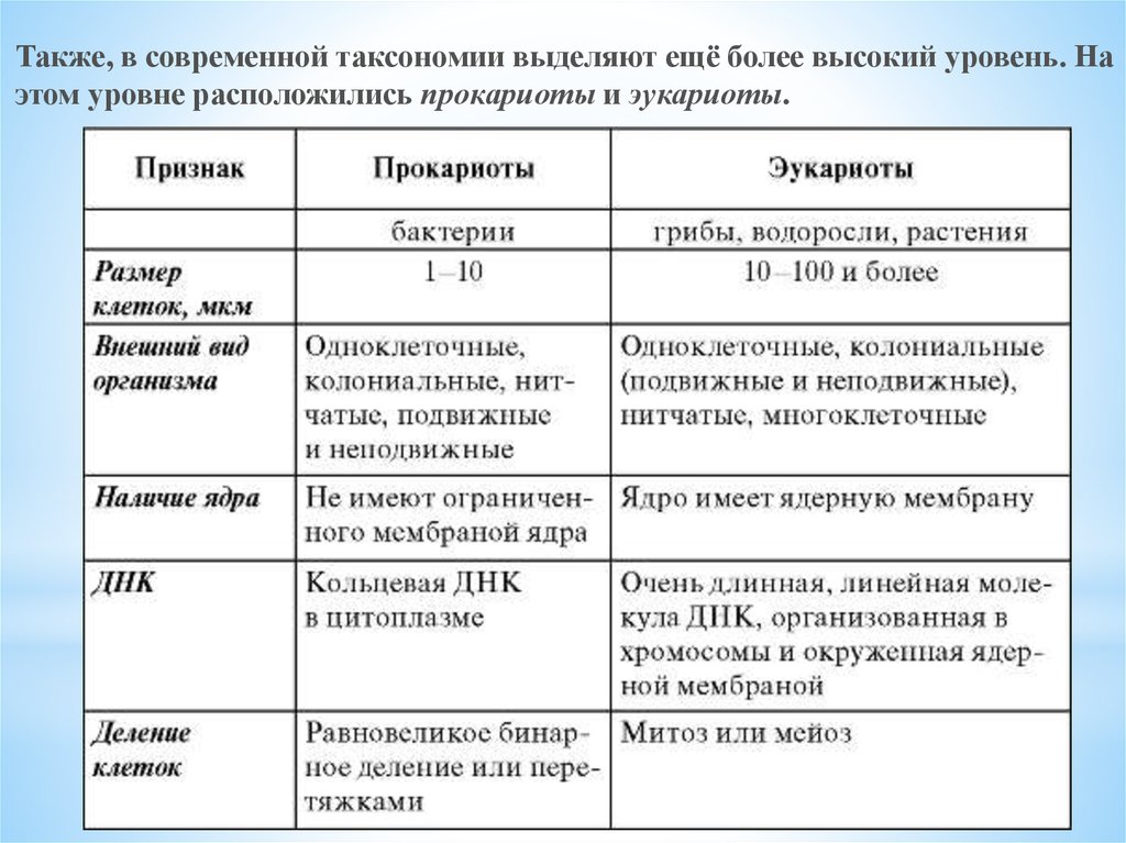 Таблица клетка 9 классы. Строение клеток прокариот и эукариот таблица. Отличие прокариот от эукариот таблица. Сравнение прокариот и эукариот таблица 10 класс. Сравнительная характеристика прокариот и эукариот.