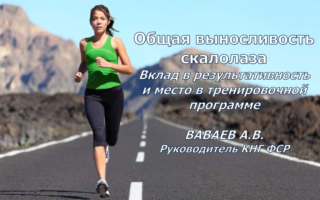 Vavaev_-_Obschaya_vynoslivost_skalolaza - online presentation