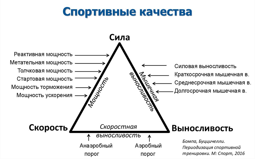 Vavaev_-_Obschaya_vynoslivost_skalolaza - презентация онлайн