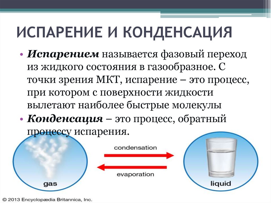 Из жидкого в газообразное называется. Испарение и конденсация. Испарение и конденсация физика. Испаорение икондесация. Импорение ИКОНДЕНСАЦИЯ физика.