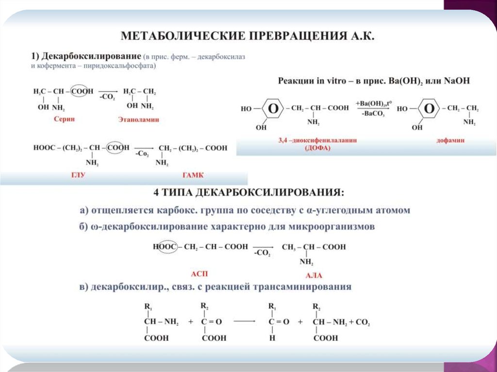 Пептиды презентация 10 класс углубленный уровень