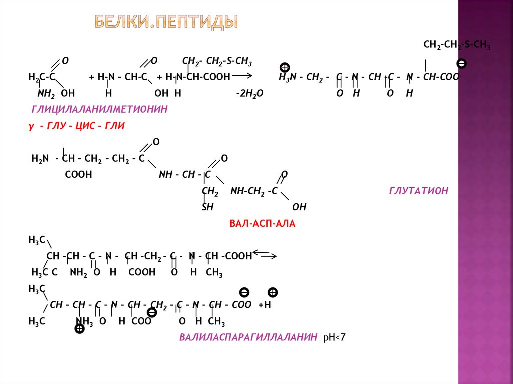 Схема образования дипептида тре фен