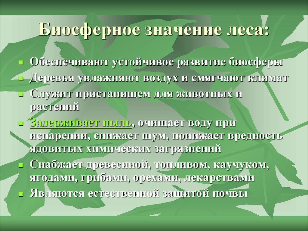 Используя материал краткой теории заполните схему экологические функции леса