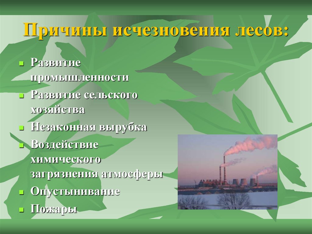 Основная причина исчезновения. Причины исчезновения тропических лесов. Причины исчезновения лесов. Причины вырубки лесов. Причины вымирания лесов.