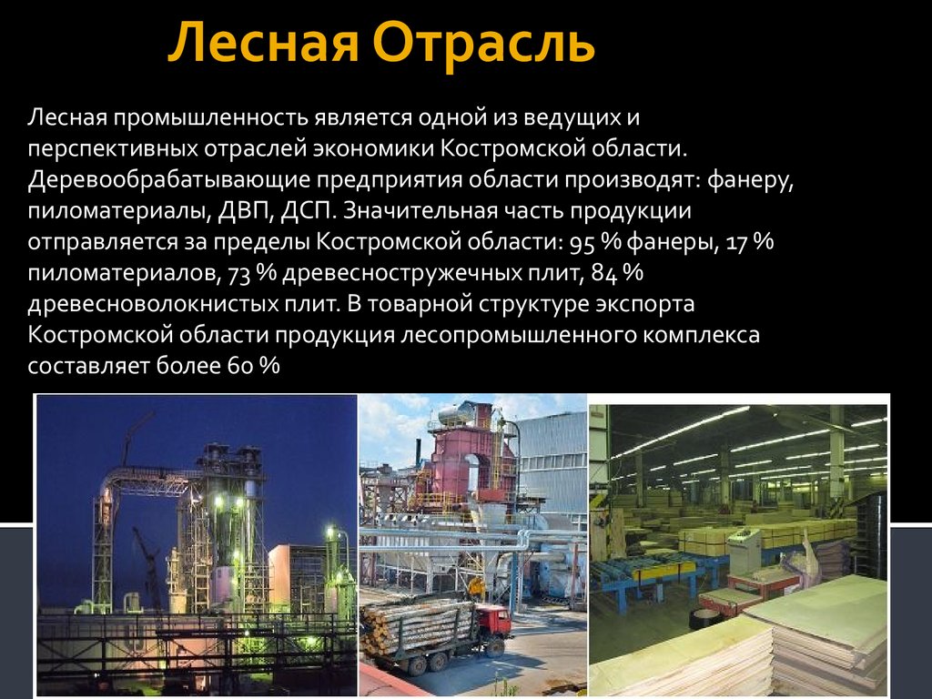 Какие отрасли экономики развиты в городе. Отрасль экономики промышленность. Промышленность в Костромской област. Доклад отрасли промышленности. Промышленность презентация.