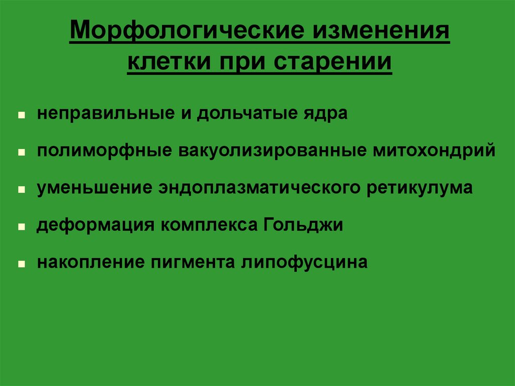 Морфологические изменения