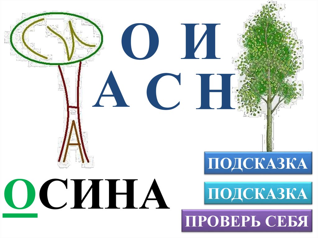 Подсказка н. Словарное слово осина. Изографы словарные слова. Ребус осина. Осина лексическое.