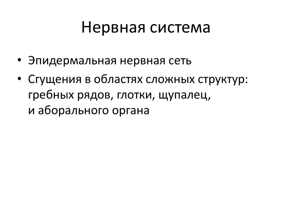 Нервная система