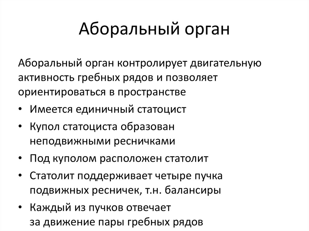 Аборальный орган