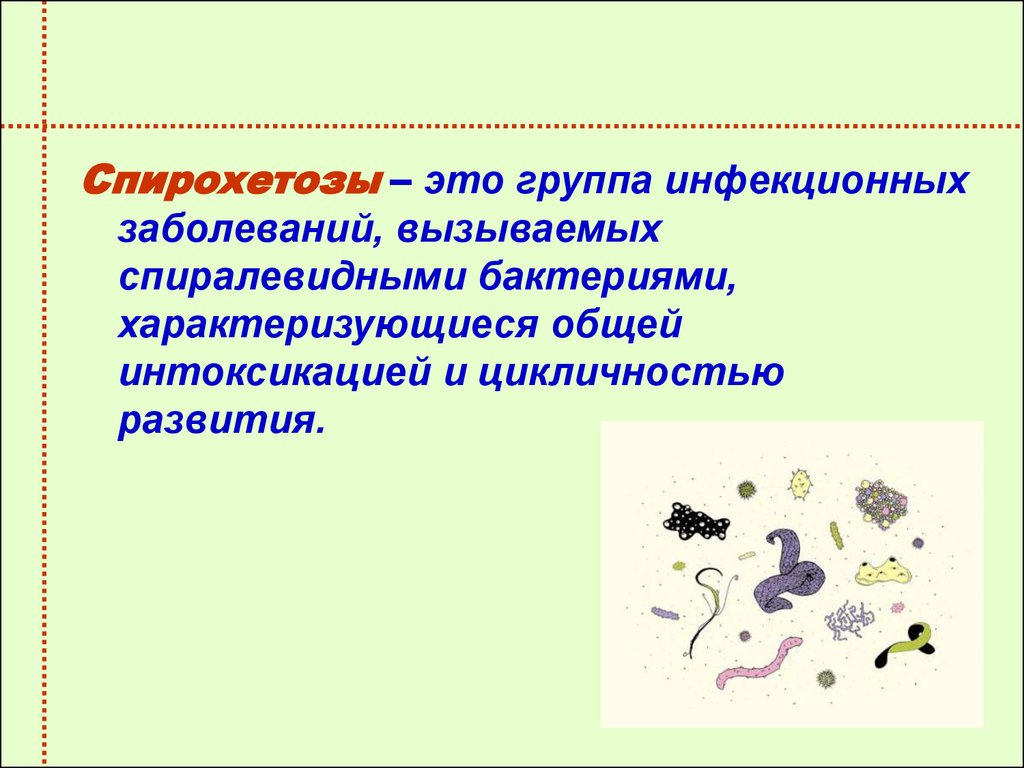 Спирохеты микробиология презентация