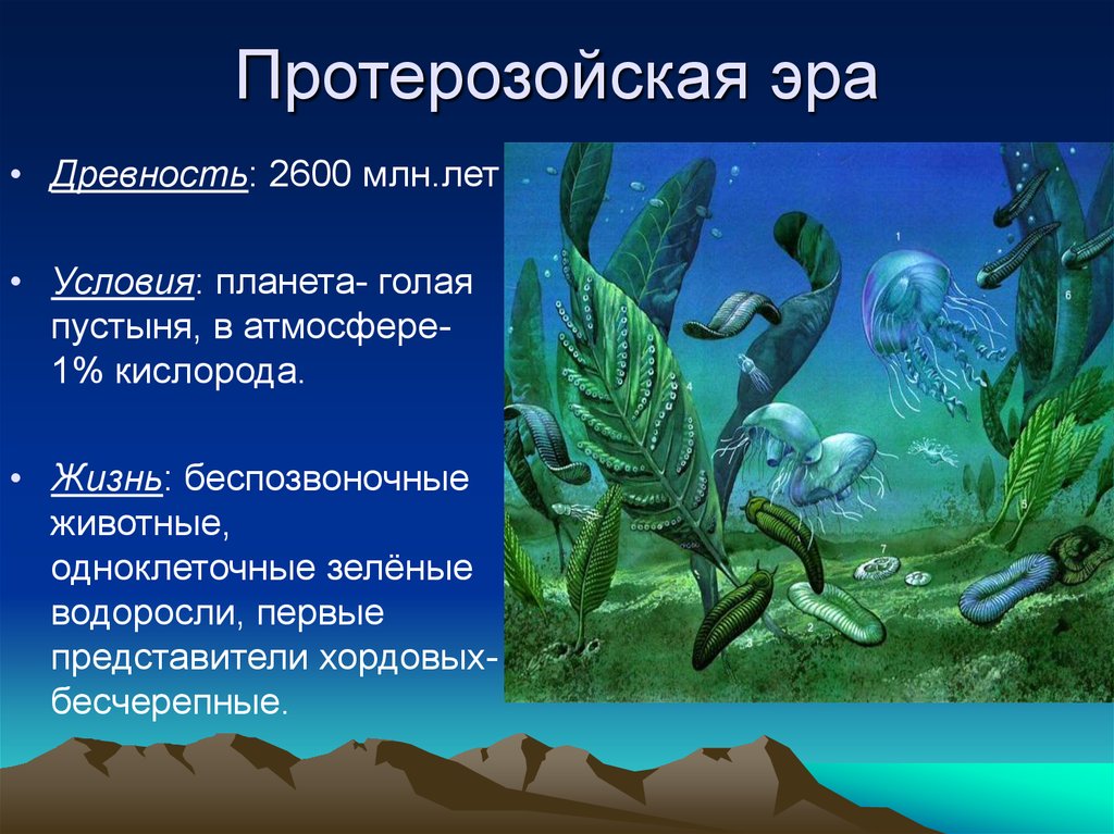1 появившимися на земле организмы были. Протерозой водоросли. Протерозойская Эра растительный и животный мир. Водоросли протерозойской эры. Моллюски протерозойской эры.