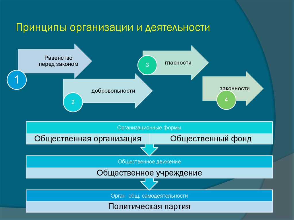 Принцип объединения. Принцип равенства перед законом. Равенство граждан и юридических лиц перед законом. Принципы законности равенства. Принцип равенства граждан и организаций перед законом и судом.