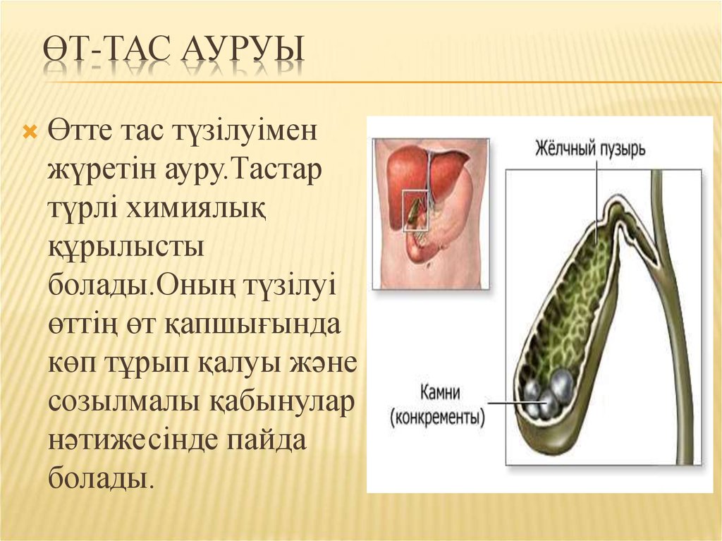 Бауыр аурулары презентация