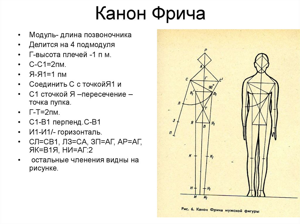 Модуль это длина. Канон фигуры человека. Пропорции человека. Канон в изображении человека. Пропорции человека модуль.