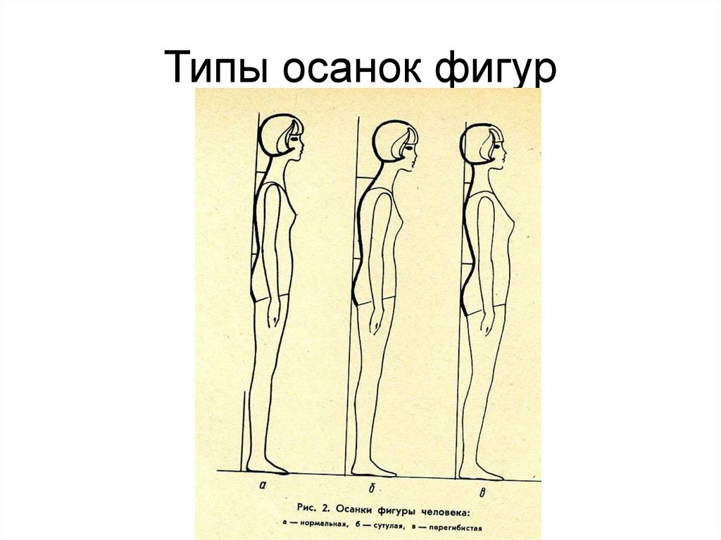 Коррекция осанки и телосложения презентация