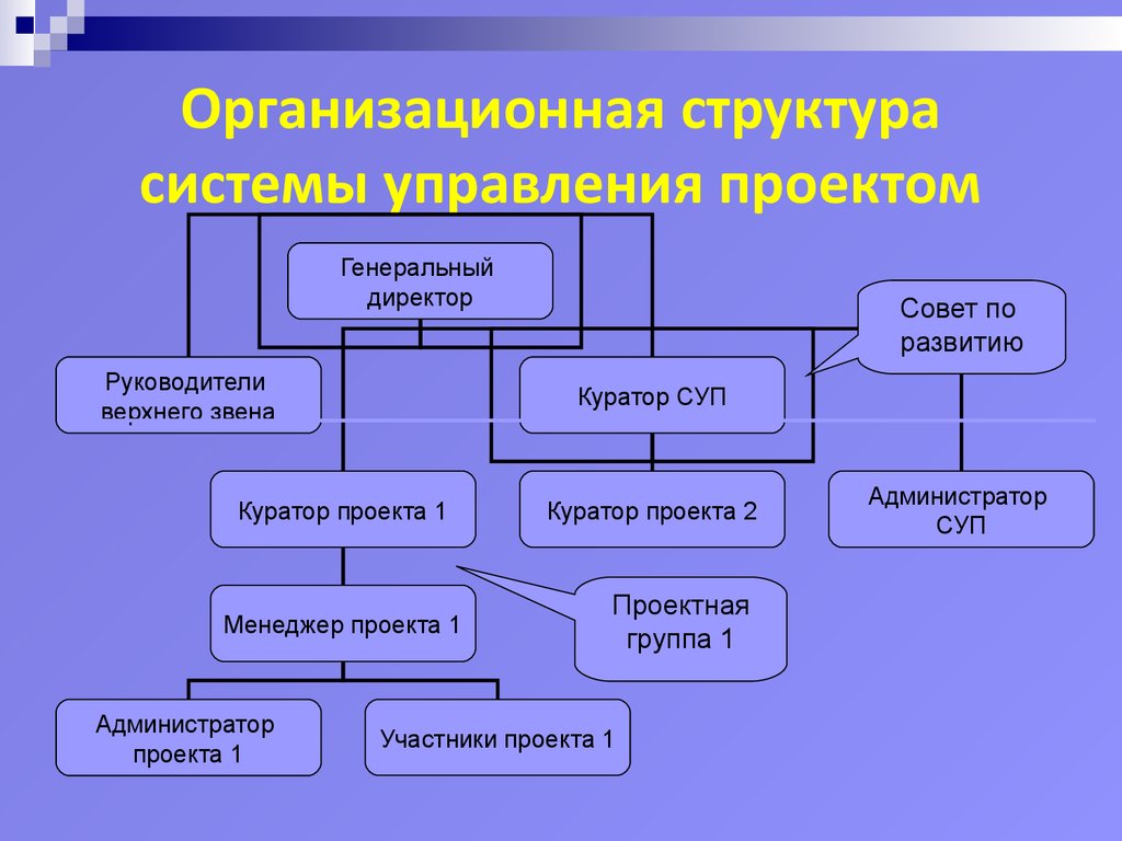 Организационная структура проекта