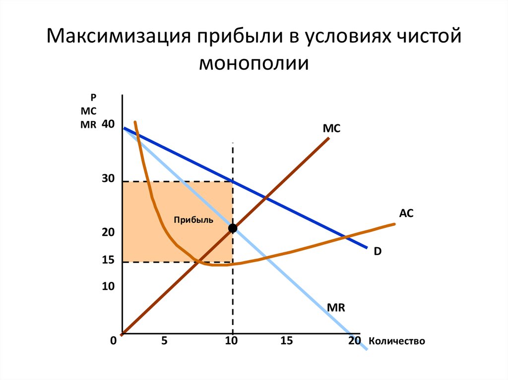 Деятельность фирмы в условиях монополии проект