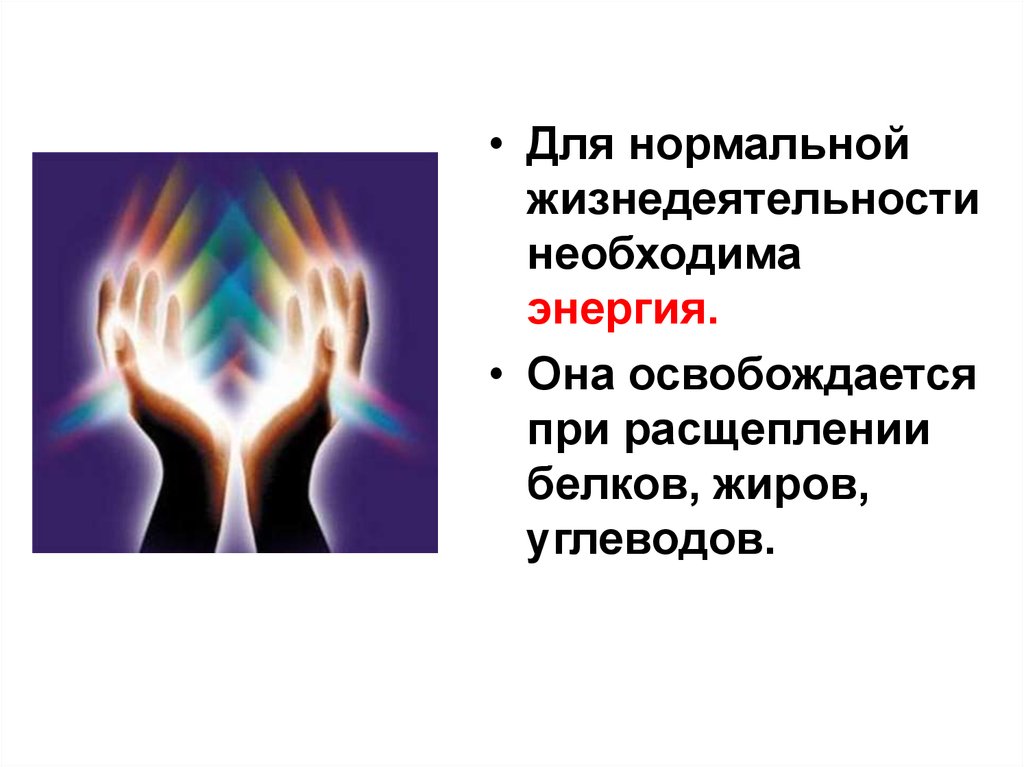 Человек получает энергию для своей жизнедеятельности. Энергия необходима. Необходимая для жизнедеятельности энергия. Нормальная жизнедеятельность. Обмен энергии картинки.