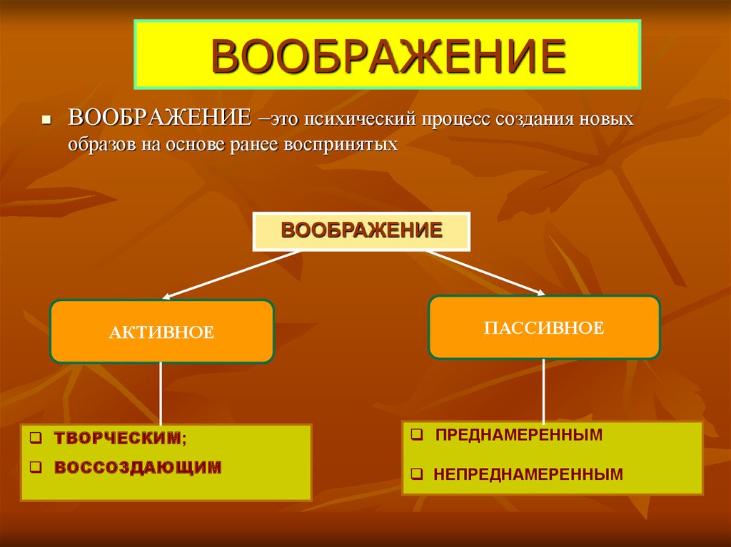 Презентация по теме психические процессы