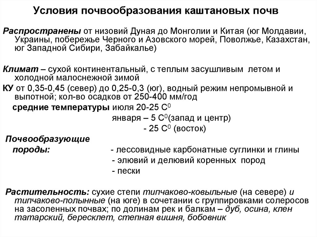 Условия почвообразования почв. Почвообразовательные процессы каштановых почв. Каштановые почвы условия почвообразования. Условия формирования почв.