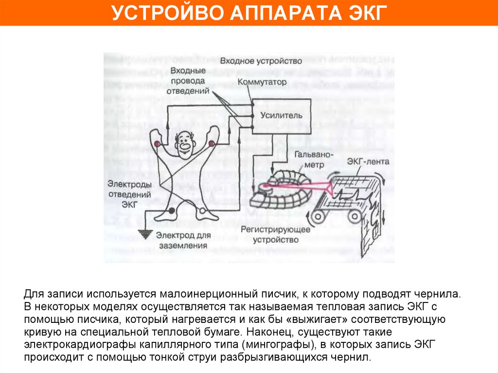 Изучение упрощенной схемы электрокардиографа