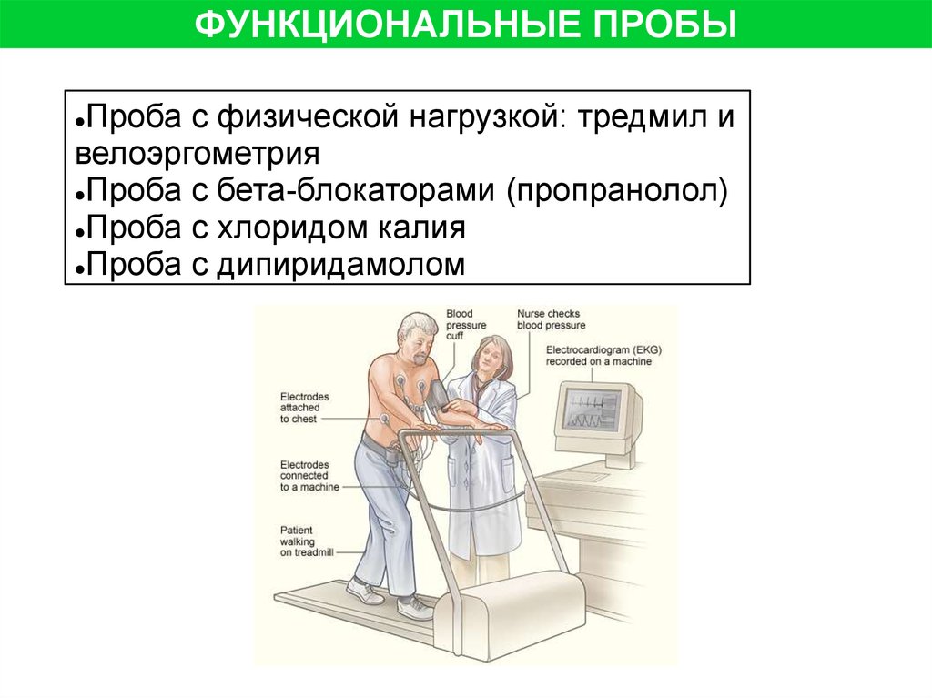 Тест функциональная проба. Функциональные пробы. Функциональные пробы с физической нагрузкой. Проба с физической нагрузкой (велоэргометрия, тредмил). Функциональные электрокардиологические пробы.