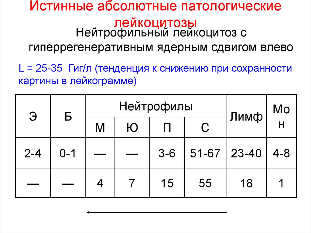 Абсолютный лейкоцитоз. Нейтрофильный лейкоцитоз со сдвигом влево. Нейтрофильный лейкоцитоз с палочкоядерным сдвигом. Истинный нейтрофильный лейкоцитоз. Нейтрофильный лейкоцитоз с регенераторным сдвигом формулы.