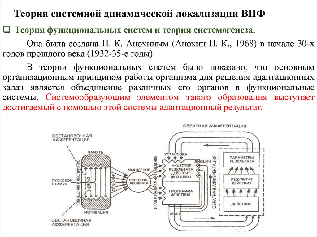 Теория функциональных систем. Теория функциональных систем (п.к. Анохина, к.в. Судакова),. П К Анохин теория функциональных систем. Теория функциональных систем Анохина Системогенез. Теория функциональных систем (п.к. Анохина, к.в. Судакова), в ЕГЭ.