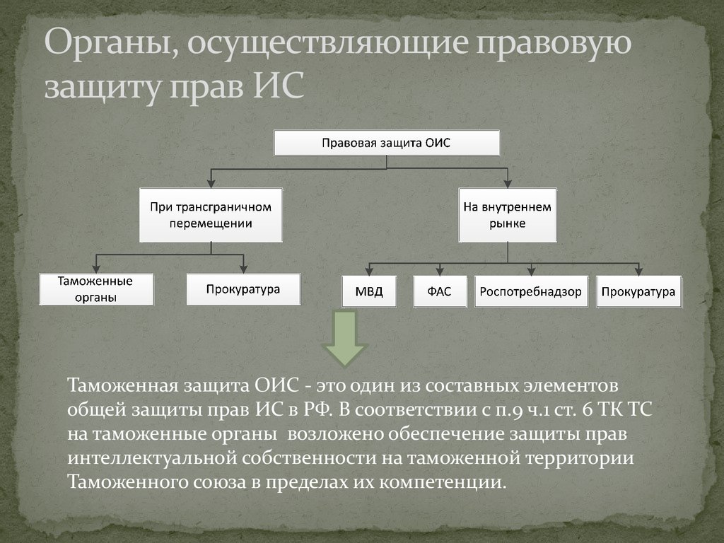 Интеллектуальная собственность таможенных органов