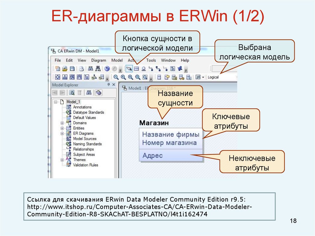 Модели отображения данных. Er диаграмма Erwin. Семантическая модель БД. Атрибуты Erwin. Основные компоненты Erwin.