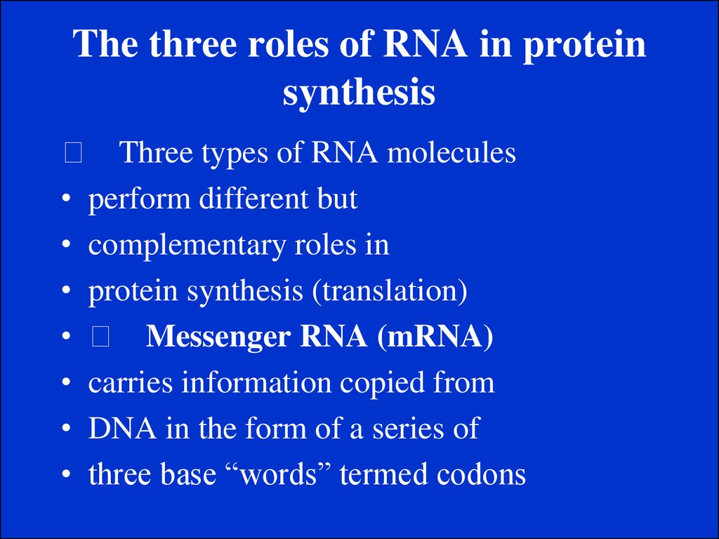 The three roles of RNA in protein synthesis