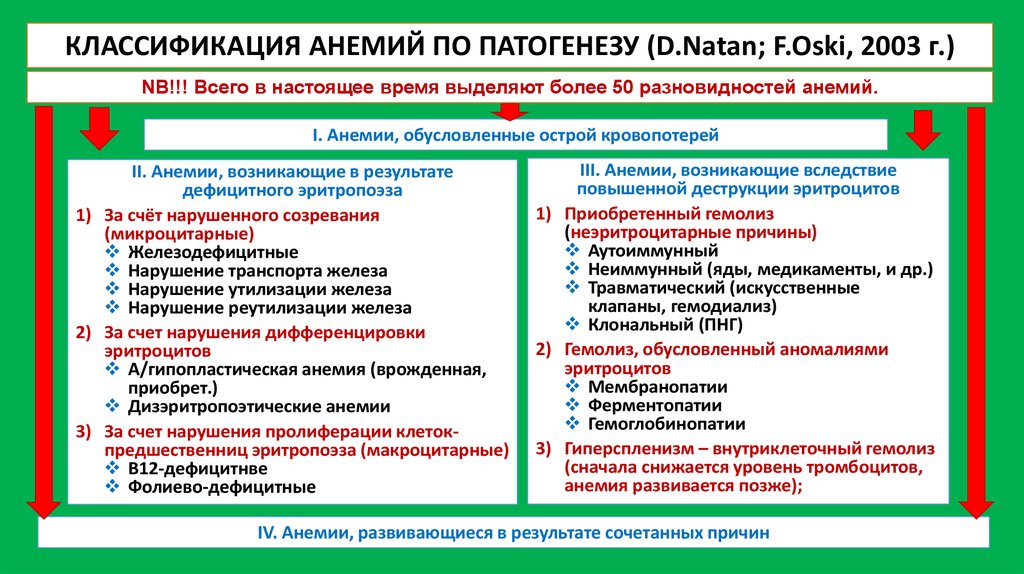 Схема патогенеза железодефицитной анемии