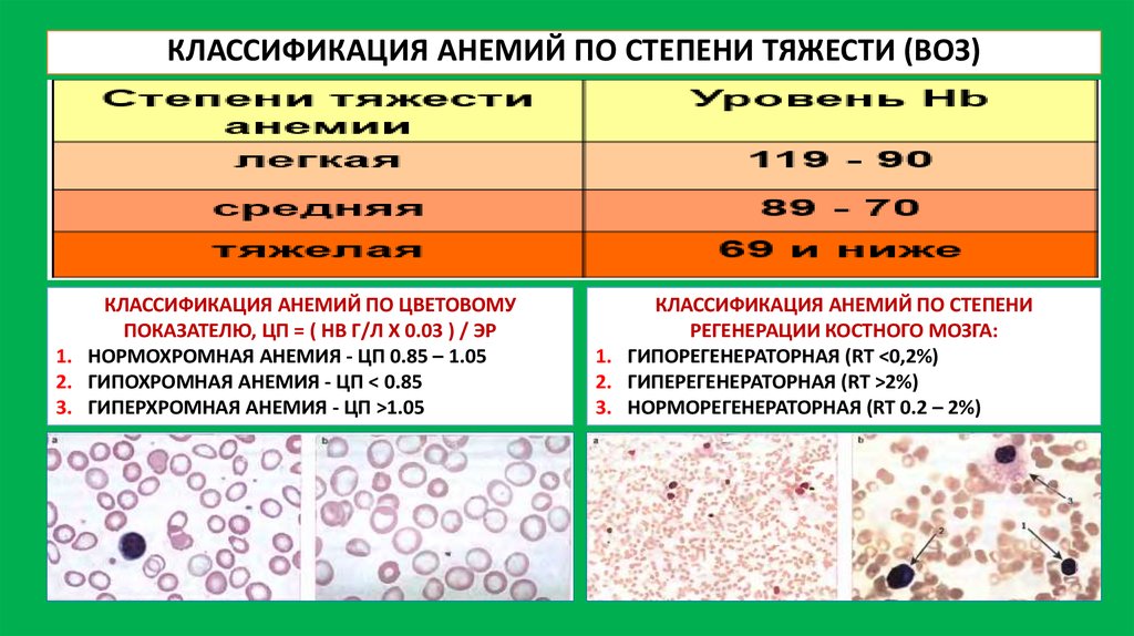 3 дефицитные анемии