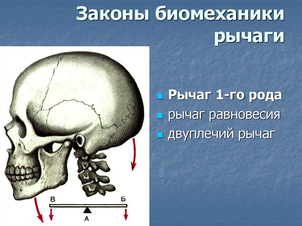 Рычаг 1 рода фото