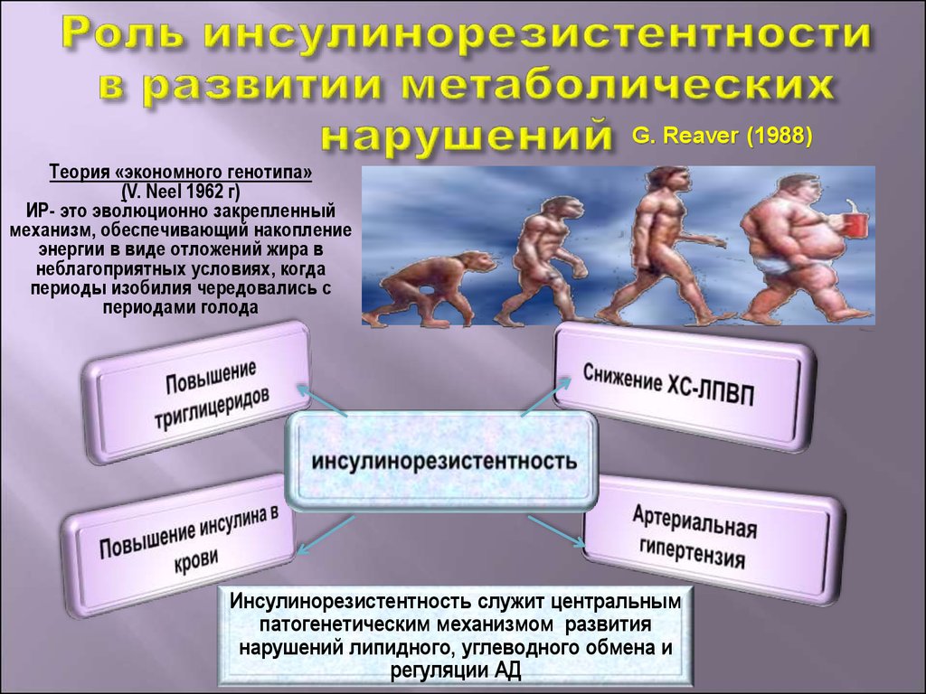 Схема при инсулинорезистентности корнилова