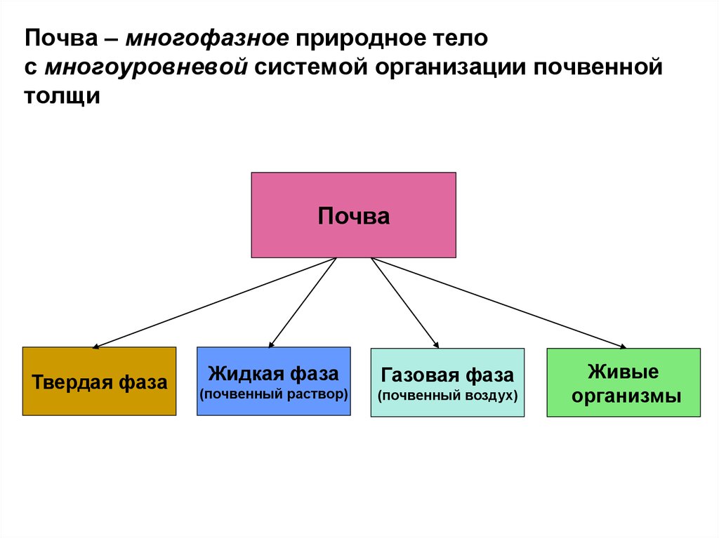 Понятие о природном организме 5 класс