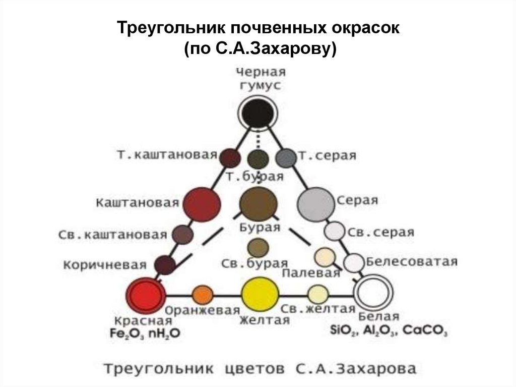 Треугольник почвенных окрасок (по С.А.Захарову)