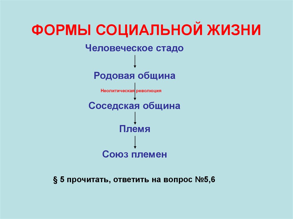 Союз родовых общин. Человеческое стадо родовая община. Родовая община соседская община род племя. Человеческое стадо родовая община соседская община. Соседская община племя.