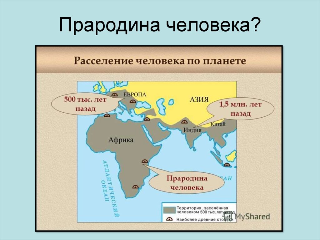 Порядок заселения материков и частей света человеком